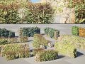 UK Hedgerow 3D Collection 3D Model