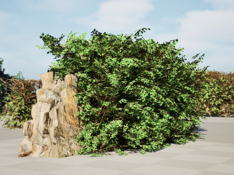UK Hedgerow 3D Collection 3D 模型