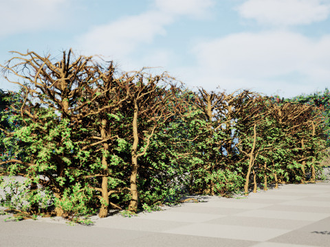 UK Hedgerow 3D Collection 3D 模型