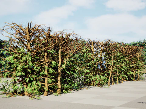 UK Hedgerow 3D Collection 3D Model