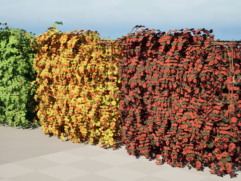 UK Hedgerow 3D Collection 3D 模型