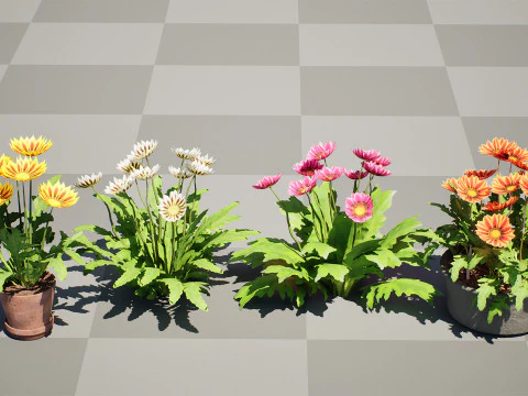 Southern Africa Gazania Flower 3D Model