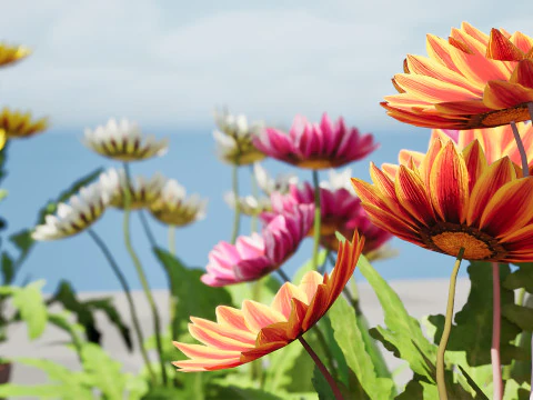 Southern Africa Gazania Flower 3D Model