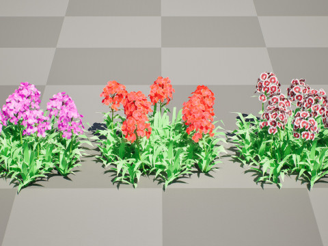 Flander Dianthus Barbatus 3D Model