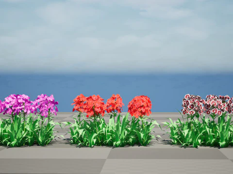 Flander Dianthus Barbatus 3D Model