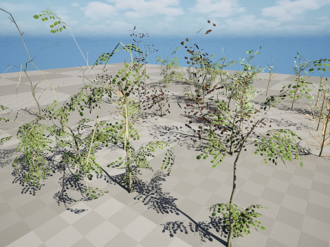 Game-Ready Foliage Trunks Collection 3D मॉडल