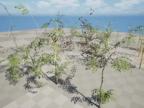 Готова до гри колекція листяних стовбурів 3D Модель