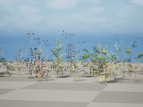 Game-Ready Foliage Trunks Collection 3Dモデル