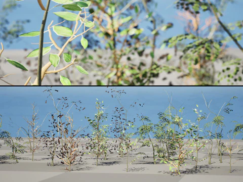 Game-Ready Foliage Trunks Collection 3D Model