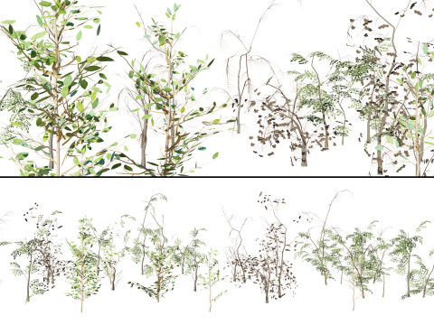 Game-Ready Foliage Trunks Collection 3Dモデル