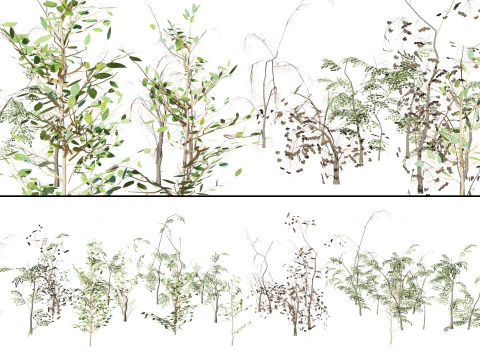 Game-Ready Foliage Trunks Collection 3D Model