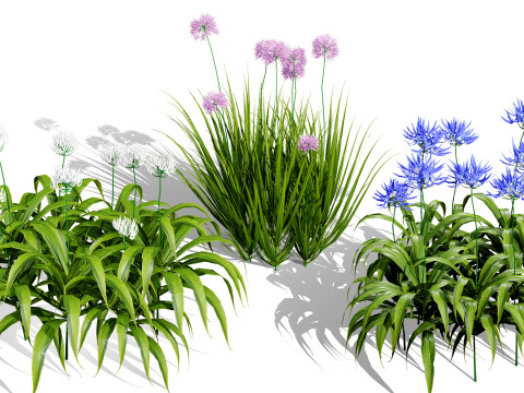 Flemish Plants Trees 3D Pack 3D मॉडल