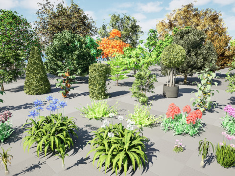 Flemish Plants Trees 3D Pack 3D मॉडल