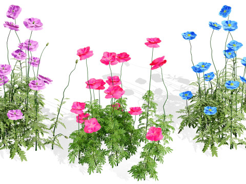 Flemish Plants Trees 3D Pack 3D मॉडल