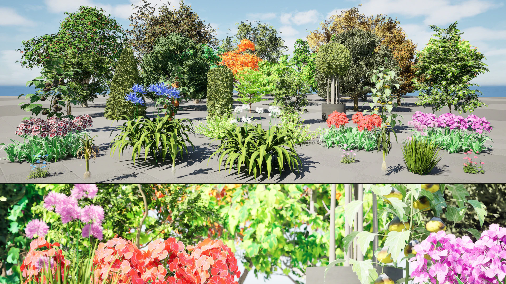 Flemish Plants Trees 3D Pack 3D Model .c4d .max .obj .3ds .fbx .stl .blend
