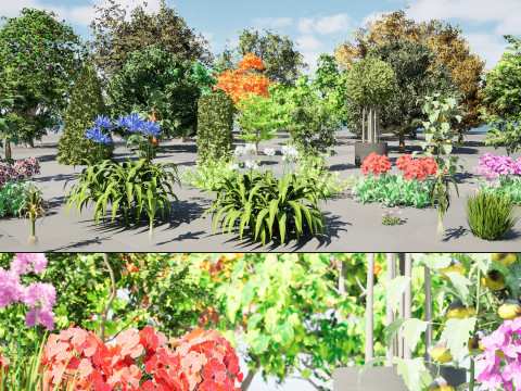 Flemish Plants Trees 3D Pack 3D Model