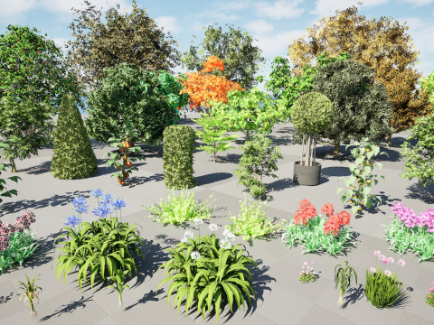 Flemish Plants Trees 3D Pack 3D मॉडल