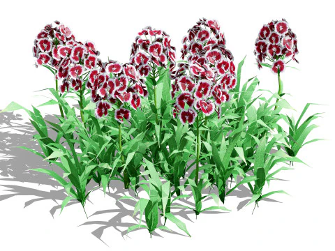 Flemish Plants Trees 3D Pack 3D Model