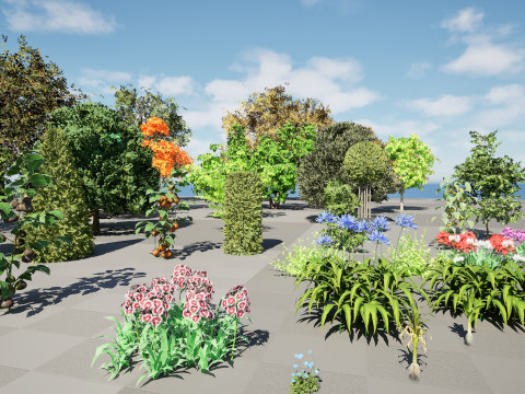 Flemish Plants Trees 3D Pack 3D मॉडल