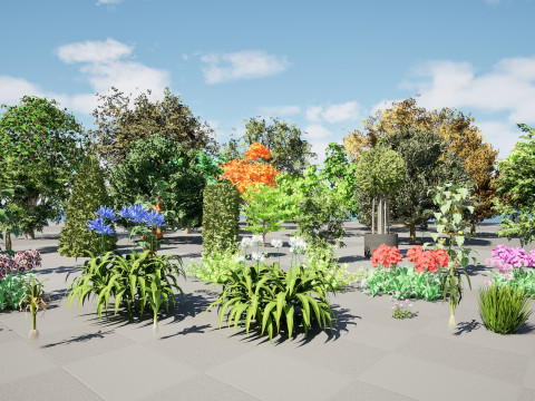 Flemish Plants Trees 3D Pack 3D मॉडल