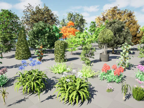 Flemish Plants Trees 3D Pack 3D Model