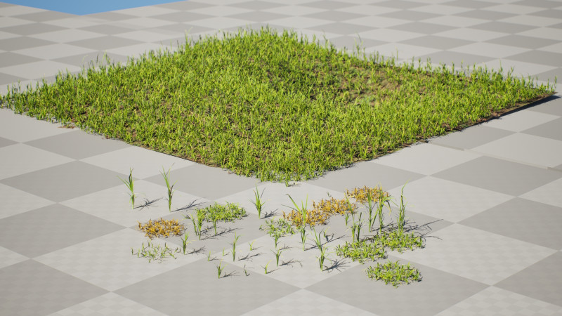 Game-Ready Grass Collection Individual Types Meadow Asset Model 3D .c4d .max .obj .3ds .fbx .stl .blend
