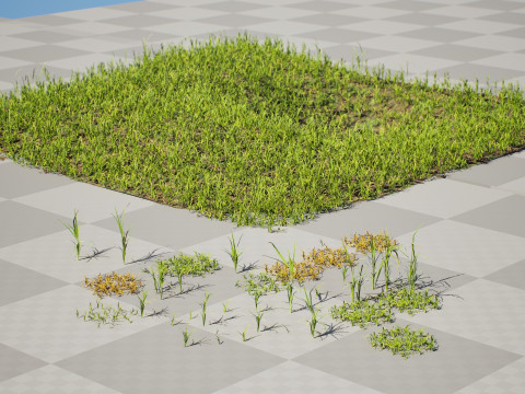 Game-Ready Grass Collection Individual Types Meadow Asset 3D Модель