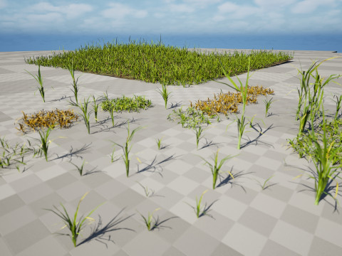Game-Ready Grass Collection Individual Types Meadow Asset with Free 3D Tutorial Modelo 3D