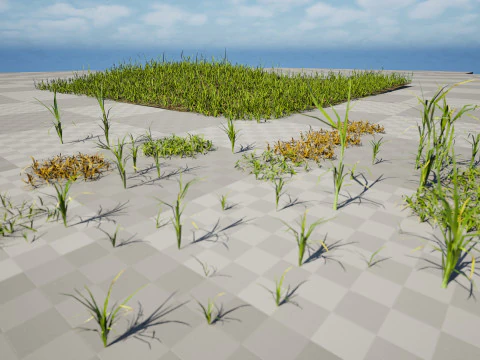 Game-Ready Grass Collection Individual Types Meadow Asset with Free 3D Tutorial 3D Model