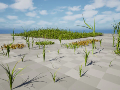 Game-Ready Grass Collection Individual Types Meadow Asset with Free 3D Tutorial 3D Model