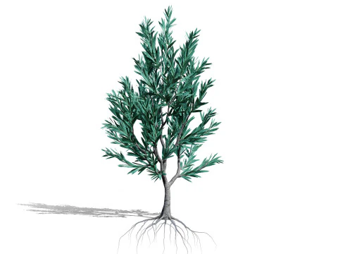 실버트리-위트붐 3D 모델