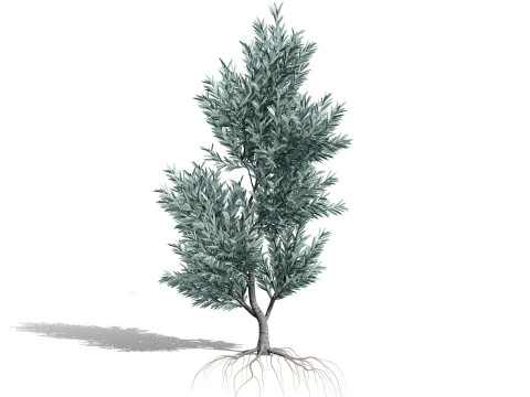 실버트리-위트붐 3D 모델