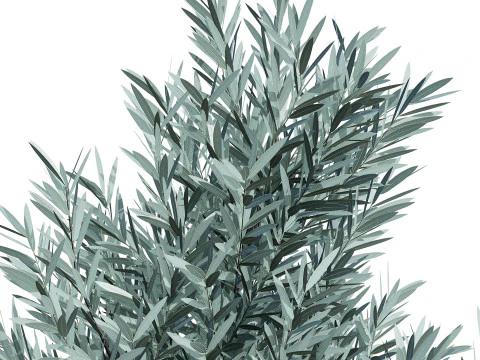 실버트리-위트붐 3D 모델