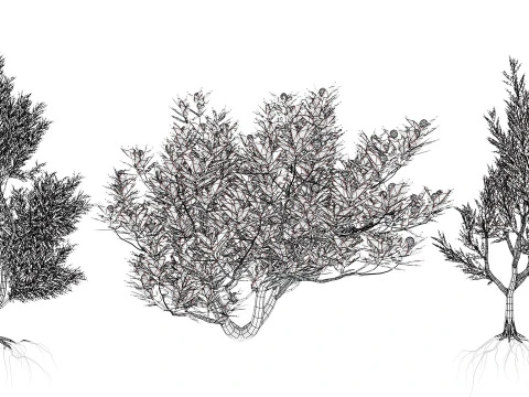 실버트리-위트붐 3D 모델