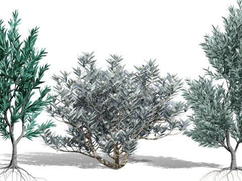 실버트리-위트붐 3D 모델