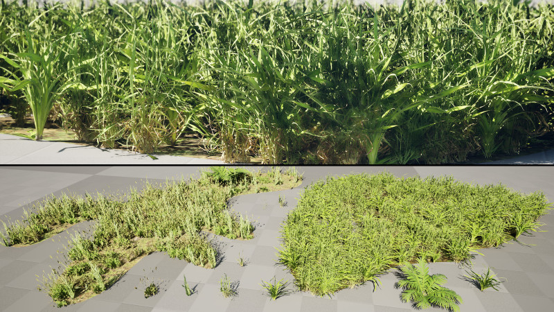 Realistic Grass Meadow Clumps - Game Ready 3D Asset Pack 3D-Modell .c4d .max .obj .3ds .fbx .stl .blend
