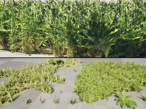 Realistic Grass Meadow Clumps - Game Ready 3D Asset Pack 3D-Modell