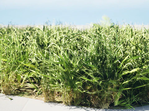 Ciuffi di prati realistici - Pacchetto di risorse 3D pronto per il gioco Modello 3D