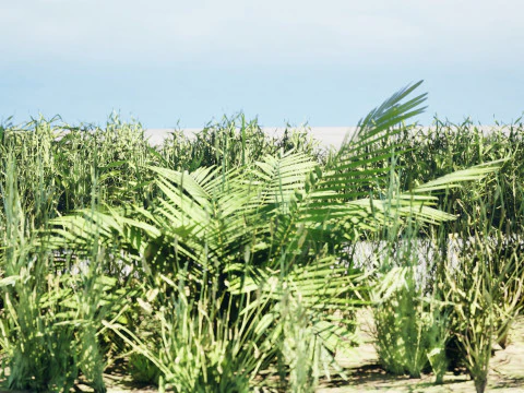 Ciuffi di prati realistici - Pacchetto di risorse 3D pronto per il gioco Modello 3D