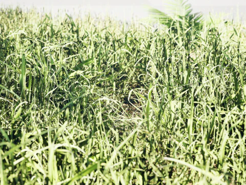 Ciuffi di prati realistici - Pacchetto di risorse 3D pronto per il gioco Modello 3D