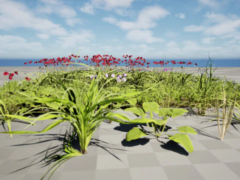 Cluster di erba di fiori selvatici - Modello 3D