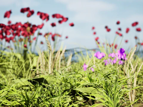 Cluster di erba di fiori selvatici - Modello 3D