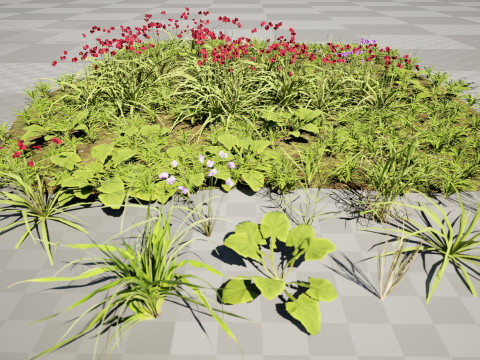 Wildflower Grass Cluster - Model 3D