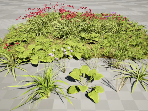 Cluster di erba di fiori selvatici - Modello 3D