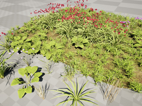 Wildflower Grass Cluster - Model 3D