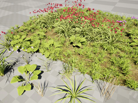 Cluster di erba di fiori selvatici - Modello 3D