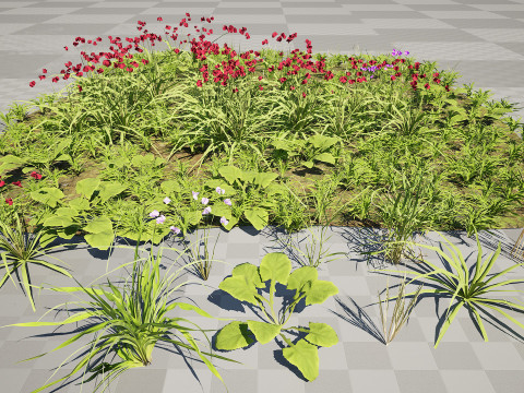Wildflower Grass Cluster - Model 3D