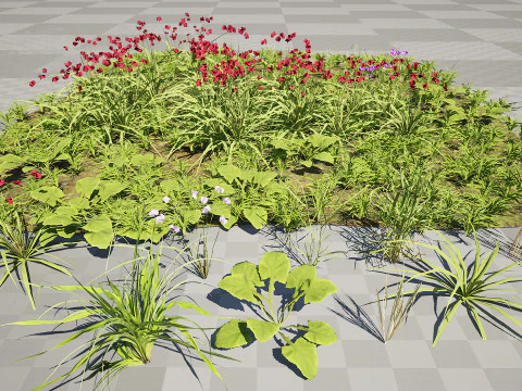 Cluster di erba di fiori selvatici - Modello 3D