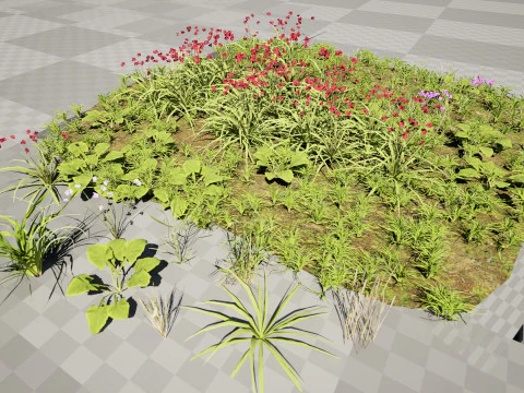 Cluster di erba di fiori selvatici - Modello 3D