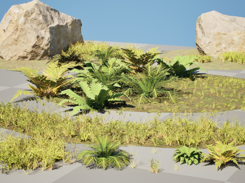 Game-Ready Nature Kit Grass Plants Stones 3D Model